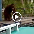 Marcos Fütterung.M4V