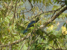 P1040121