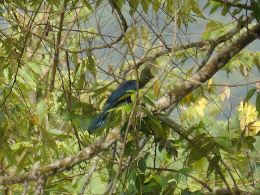 P1040121
