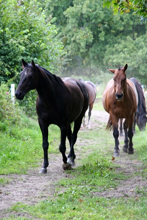 [IMG_5514%255B2%255D.jpg]