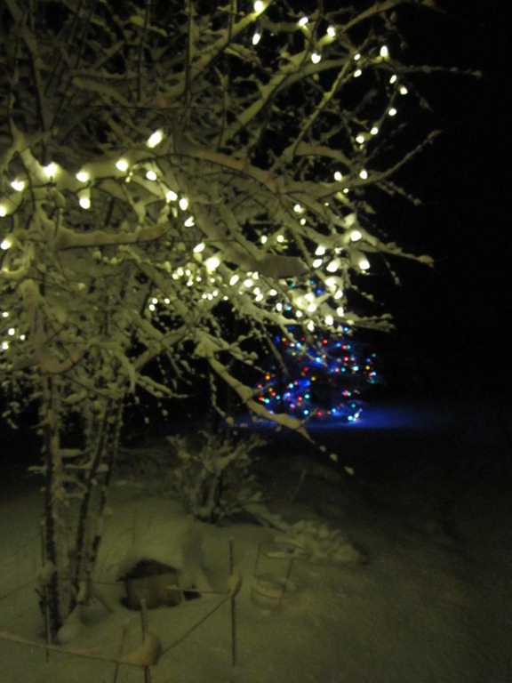 [20120224_snow-lights-snowman_007%255B3%255D.jpg]