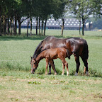 DSC_6882.JPG