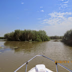 IMG_5735.JPG