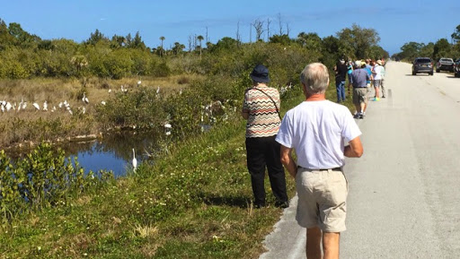 MerrittIslandNationalWildlifeRefuge-31-2015-02-22-08-21.jpg