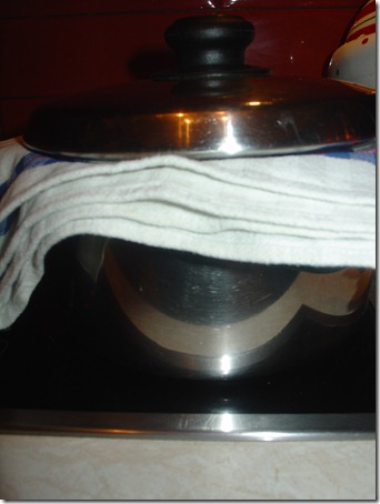 DSC00350 DSC00350