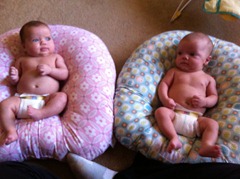 IMG_1704 IMG_1704