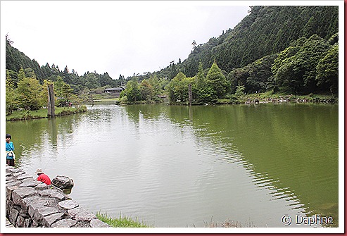 IMG_0362 IMG_0362