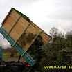 Tannenbaumaktion 08_781.jpg