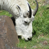 Zoo