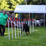 IMG_5037.JPG