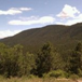 View album