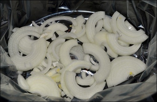 sliced onion sliced onion