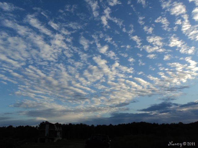 [DSC047788.jpg]