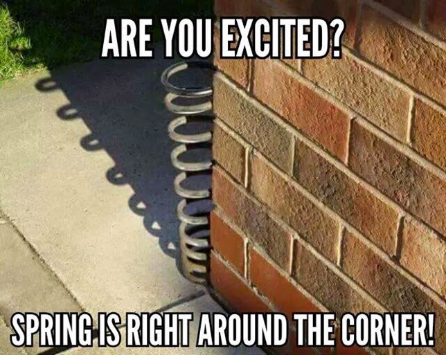 spring corner spring corner