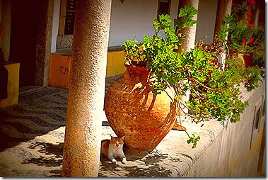 P1080804 P1080804