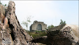 kootwijk09.jpg