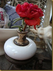 DSC08324 DSC08324
