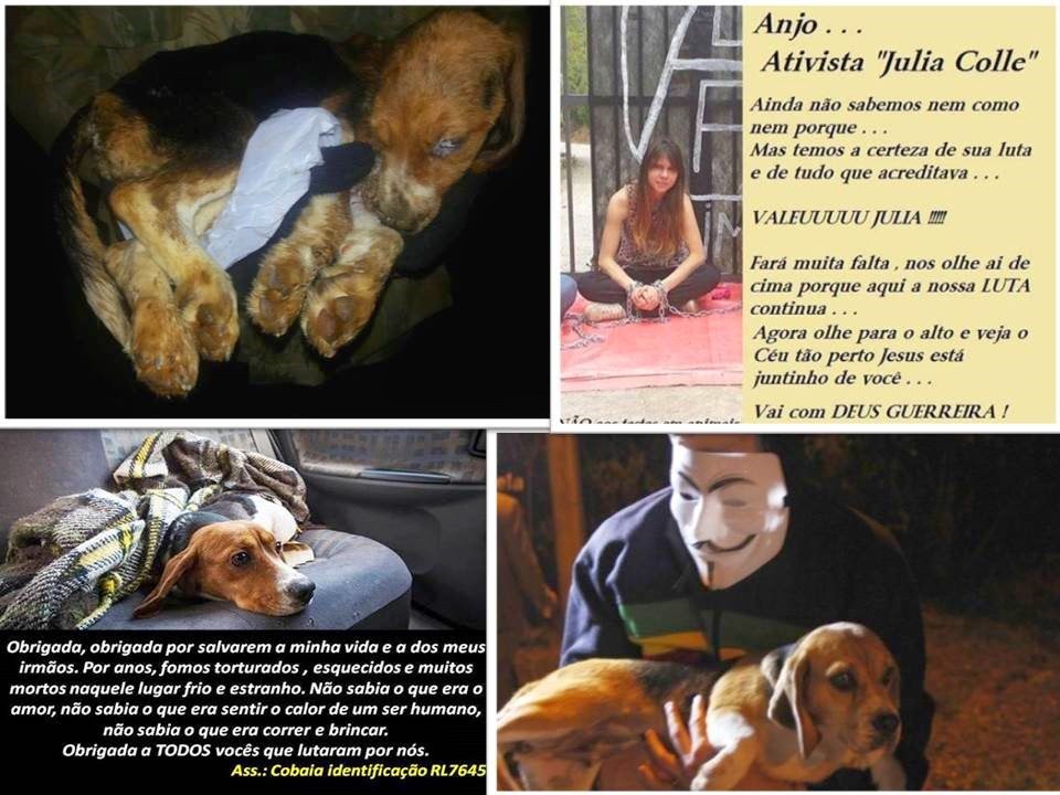 [Resgate-Royal%2520%25289%2529%255B3%255D.jpg]