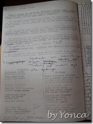 SAM_3325 SAM_3325