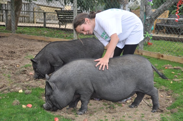 [Mia%2520with%2520Alfie%2520%2526%2520Willis%2520DSC_0877%255B7%255D.jpg]