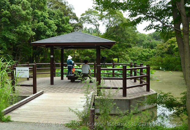 Glória Ishizaka -   Kyoto Botanical Garden 2012 - 33