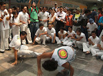 Roda