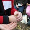 P1070160.JPG