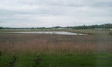 2011-05-27 18.01.38.jpg