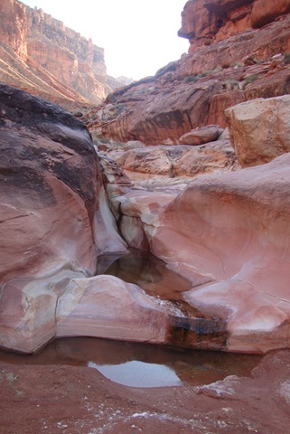 [grandcanyon0973.jpg]