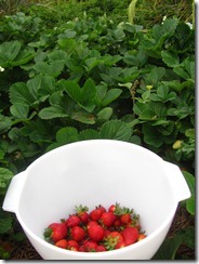 IMG_5427 IMG_5427