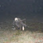 DSCF0145.jpg