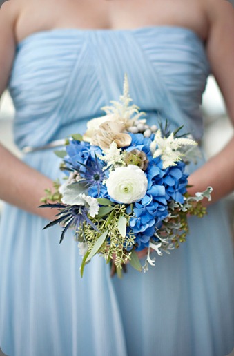 _MG_0907-Edit  flora fauna