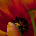 DSC_0776.jpg