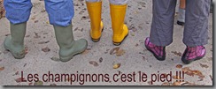 IMG_1538 copie IMG_1538 copie