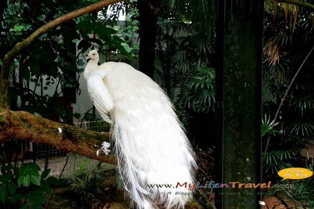 Langkawi Wildlife Park Langkawi Wildlife Park