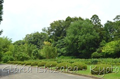 Glória Ishizaka -   Kyoto Botanical Garden 2012 - 97 a