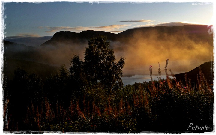Gylden morgen