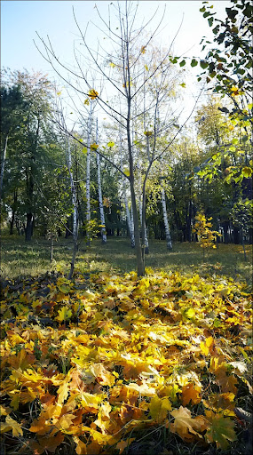 IMG_6696%252520Panoramasssass.jpg