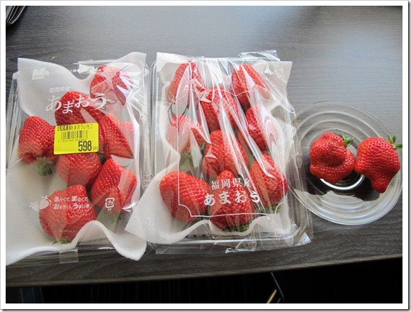 2012年京阪之旅Day 5_Pic14