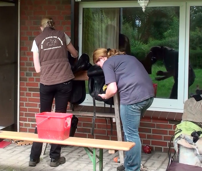 [Sattelputzen3%255B2%255D.jpg]