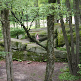 20110703 Geocaching - IMG_4442.JPG