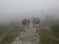 SAM_6545.JPG Photo