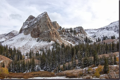 DSC_0875 DSC_0875