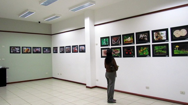 [IMG_1492%255B5%255D.jpg]