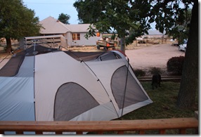IMG_8911 IMG_8911