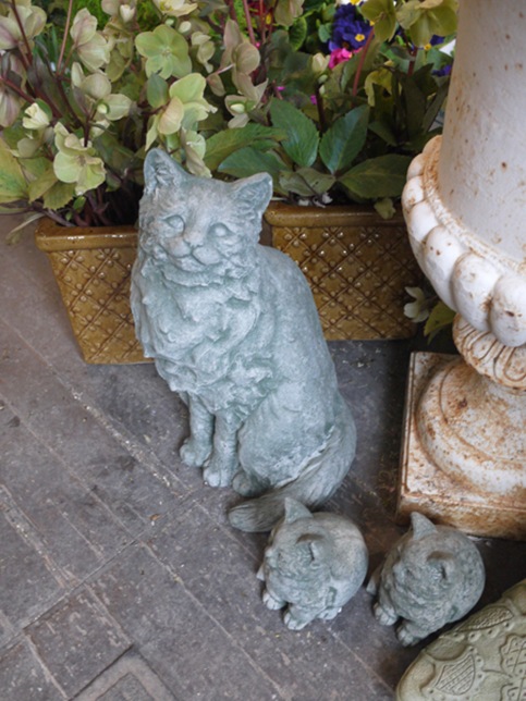 garden_cats