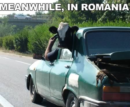 [Meanwhile-in-romania%255B2%255D.jpg]