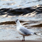 20100822_149_small.JPG
