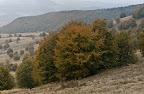 _MG_8198-200_small.jpg