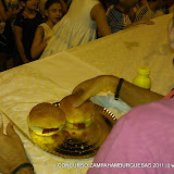 AL2011_022.jpg
